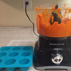 homemade baby food for busy moms