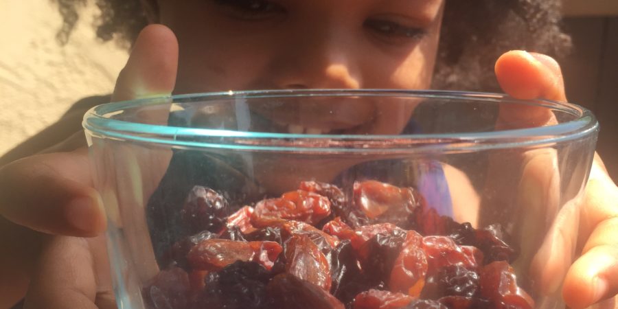 how to make raisins, make raisins with your kids