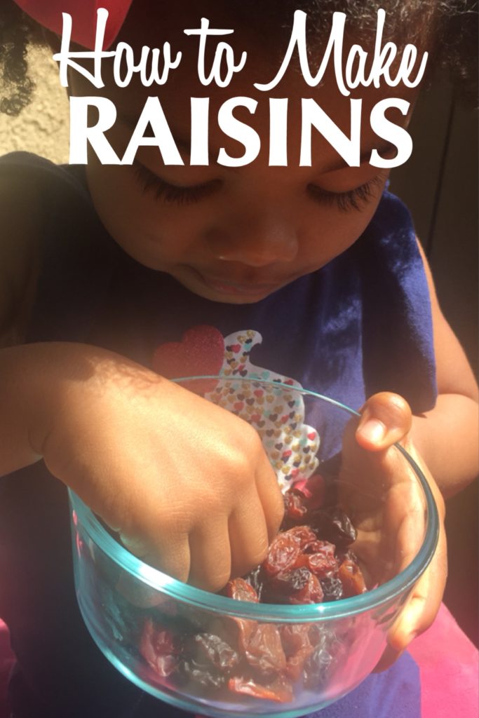 how to make raisins