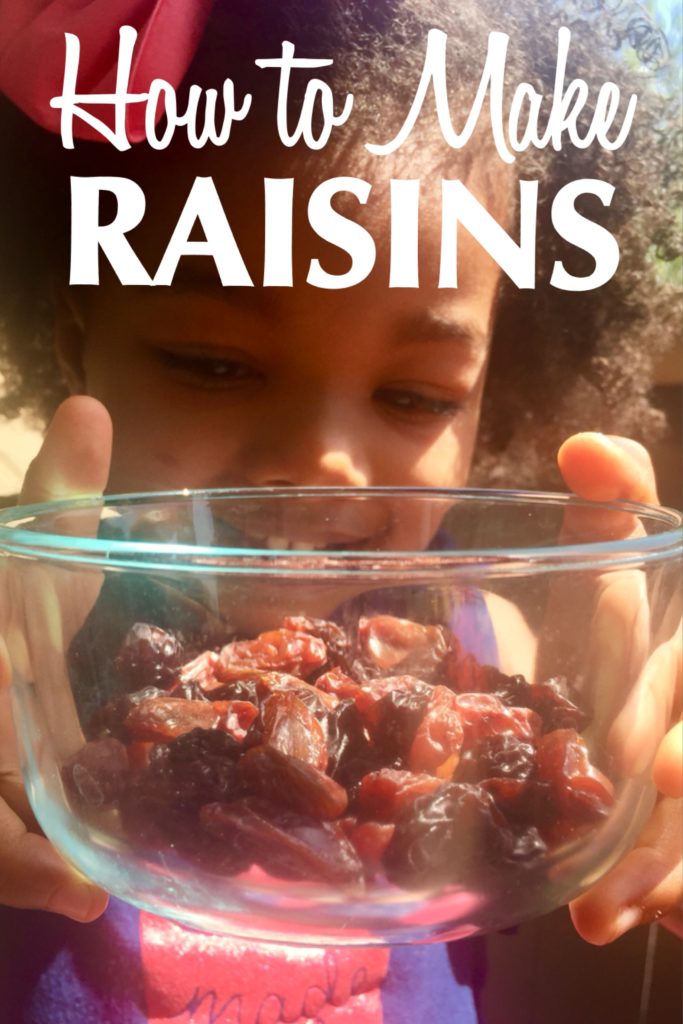 how to make raisins