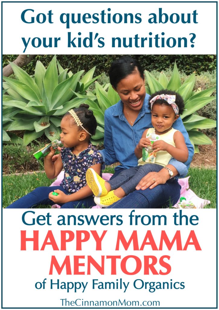 Happy Mama Mentor Chat, healthy snacks for kids, help for families, what to feed your kids